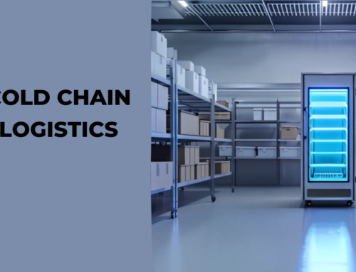 Cold Chain Logistics: How Do You Ensure Quality and Safety?