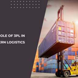 The Role of 3PL in Modern Logistics: Is Partnering the Key to Success?